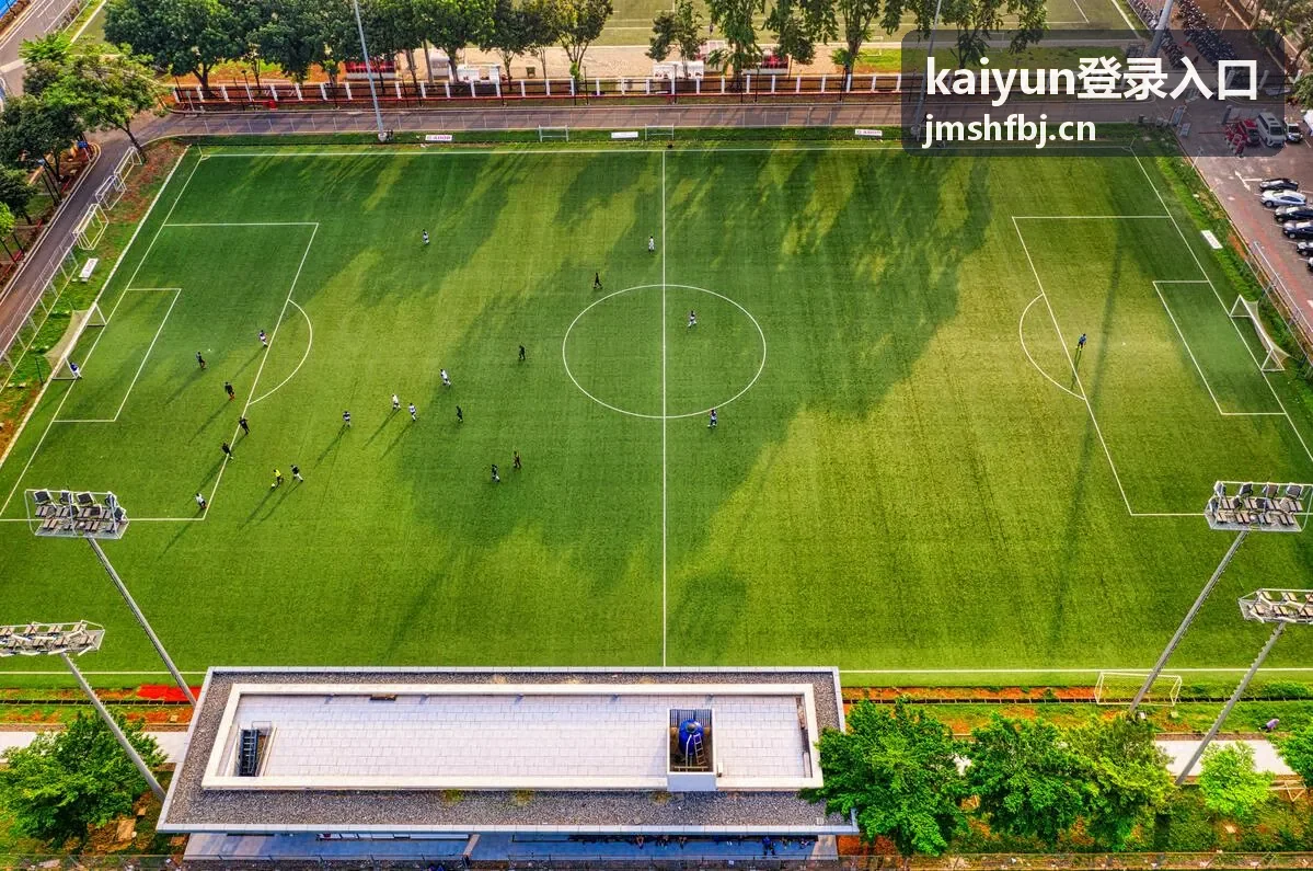 使用常用浏览器访问 kaiyun登录入口 的登录指引图