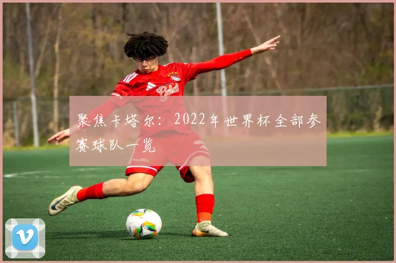 聚焦卡塔尔：2022年世界杯全部参赛球队一览