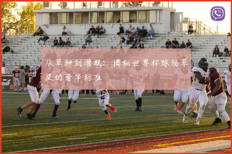 从草种到灌溉：揭秘世界杯球场草皮的奢华标准